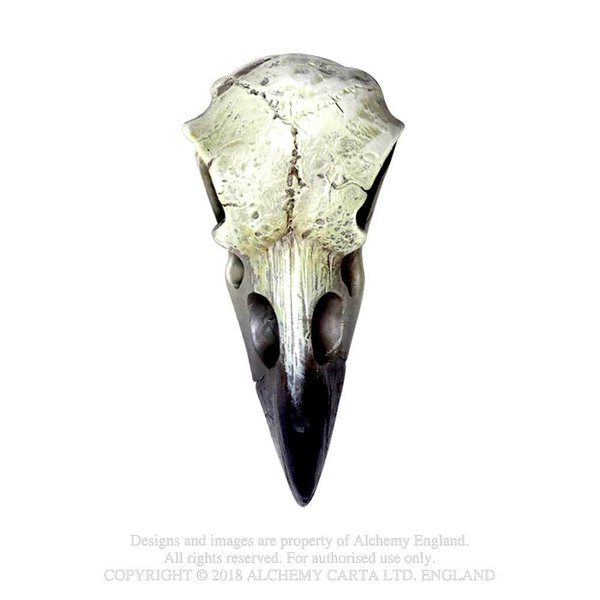 Poly Resin: Small Raven Skull